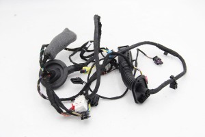 Wiązka drzwi lewy przód kamera Audi A6 C8  4K5971029AC