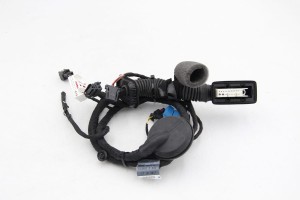 Wiązka elektryczna do drzwi pod kamerę  Audi A5 8W  8W8971029AE